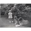 Image 7 : Laurel & Hardy (10) vintage nitrate camera negatives.