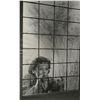 Image 6 : Shirley Temple and Freddie Bartholomew collection of (13) photographs.