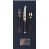 Image 1 : Titanic set of (3) flatware in framed display