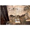 Image 9 : Alamo Battlefield Relic Collection 2008 Excavation