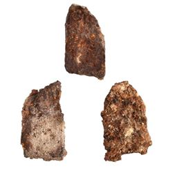 Alamo Battlefield Relics