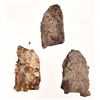 Image 2 : Alamo Battlefield Relics