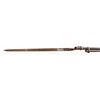 Image 7 : Winchester Model 1866 Musket with Bayonet