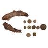 Image 1 : Alamo Horseshoe Fragment, Musket Ball & Buttons