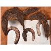 Image 1 : Alamo Battlefield Relic Horseshoe Fragments (2)