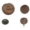 Image 1 : Alamo Battlefield Relics