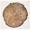 Image 3 : Alamo Battlefield Relic Buttons