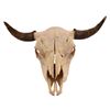 Image 1 : Buffalo Skull with Horns and Teeth