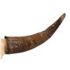 Image 3 : Buffalo Skull with Horns and Teeth