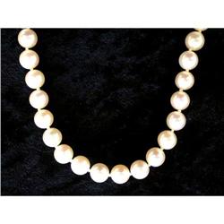 14k Yellow Gold Pearls (41089)