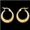 Image 1 : 14k Yellow Gold Earrings (59145)