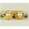 14k Yellow Gold Pearl Earrings (36290)