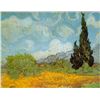 Image 1 : Van Gogh - Haute Gafille