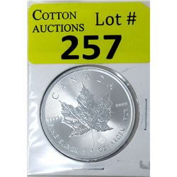 1 Oz Canada .9999 Silver Maple Leaf Coin