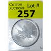 Image 1 : 1 Oz Canada .9999 Silver Maple Leaf Coin
