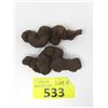 Image 1 : 2 Pieces of Coprolite -Fossilized Dinosaur Poop