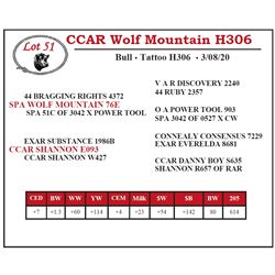 CCAR Wolf Mountain H306