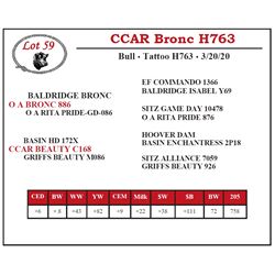 CCAR Bronc H763