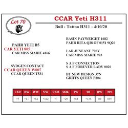 CCAR Yeti H311