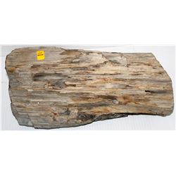 COLLECTIBLE SLAB OF PETRIFIED WOOD