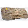 Image 1 : COLLECTIBLE SLAB OF PETRIFIED WOOD
