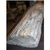 Image 3 : COLLECTIBLE SLAB OF PETRIFIED WOOD