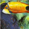 Image 2 : Toucan by Fishwick, Stephen