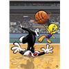 Image 2 : Warner Brothers Hologram Sylvester and Tweety Basketball