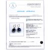 Image 4 : 14.80 ctw Blue Sapphire and 0.46 ctw Diamond 14K White Gold Earrings