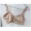 Image 2 : Fruit of the Loom Bra 36C