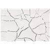 Image 3 : Alberto Burri Italian Modernist Mixed Media Canvas