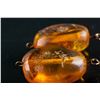 Image 2 : Fine Pair of Amber Earring Set