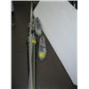 Image 2 : PAIR OF CROSS COUNTRY SKIS, BOOTS & POLES