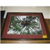 Image 2 : 2 FRAMED PRINTS