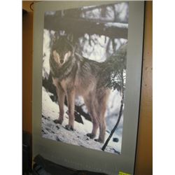 FRAMED PHOTO ART WOLF