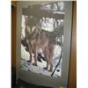 Image 1 : FRAMED PHOTO ART WOLF