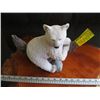 Image 1 : SPIRIT BEAR