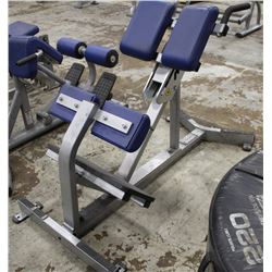 HAMMER STRENGTH BACK EXTENSION MACHINE
