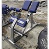 Image 1 : HAMMER STRENGTH BACK EXTENSION MACHINE