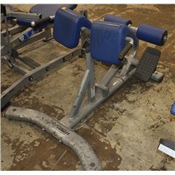 LIFE FITNESS BACK EXTENSION BENCH