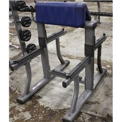 LIFE FITNESS ARM CURL BENCH