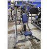 Image 1 : HAMMER STRENGTH ISO-LATERAL LOW ROW MACHINE