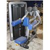 Image 1 : LIFE FITNESS LATERAL RAISE MACHINE WITH 160LBS