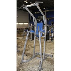 LIFE FITNESS CHIN DIP POWER TOWER