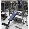 Image 1 : HAMMER STRENGTH OLYMPIC WEIGHT BENCH, STRAIGHT