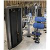 Image 1 : LIFE FITNESS ABDOMINAL MACHINE WITH 160LBS