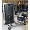 Image 1 : LIFE FITNESS BACK EXTENSION MACHINE WITH 250LBS