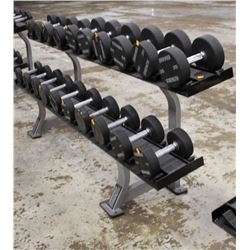 HAMMER STRENGTH DUMBELL RACK - HOLDS 20 PAIR