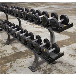 HAMMER STRENGTH DUMBELL RACK - HOLDS 20 PAIR