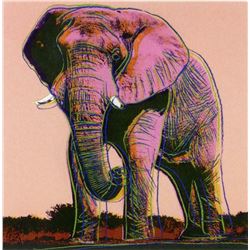 Andy Warhol- Screenprint in colors  African Elephant 